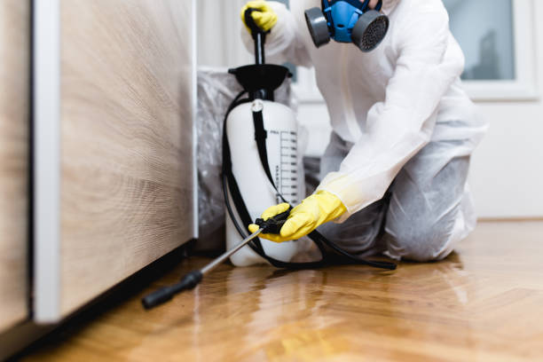 Best Termite Control Services  in Vernon Valley, NJ