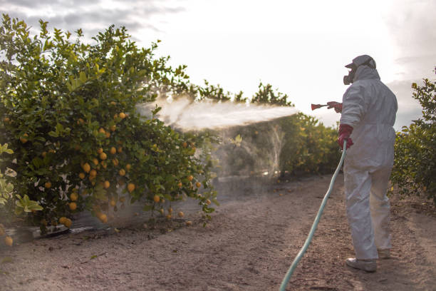 Best Bed Bug Extermination  in Vernon Valley, NJ