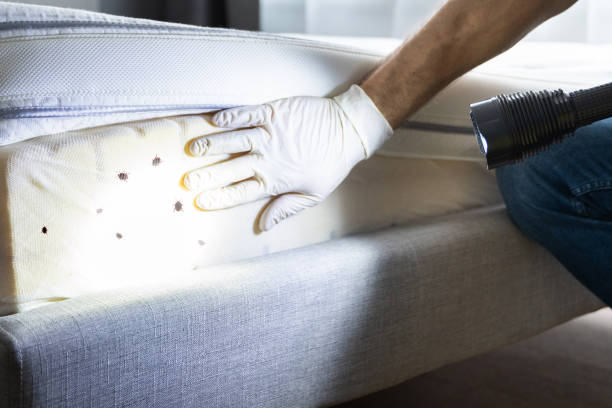 Best Pest Inspection Near Me  in Vernon Valley, NJ