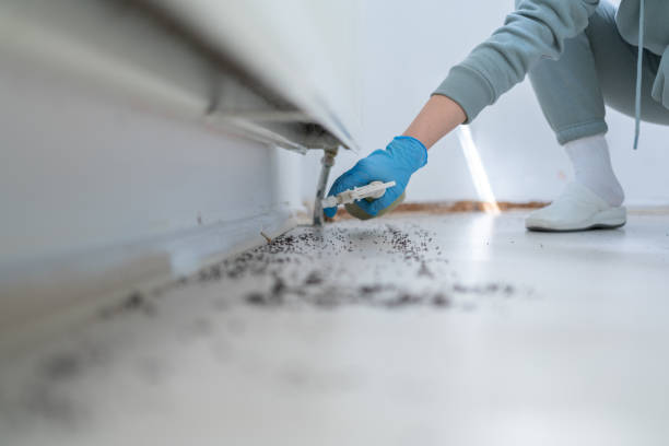 Professional Pest Control in Vernon Valley, NJ